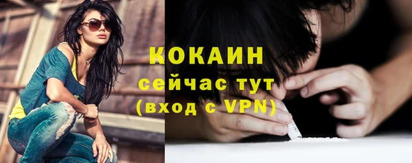 молекула духа Вязьма