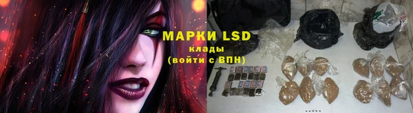 молекула духа Вязьма
