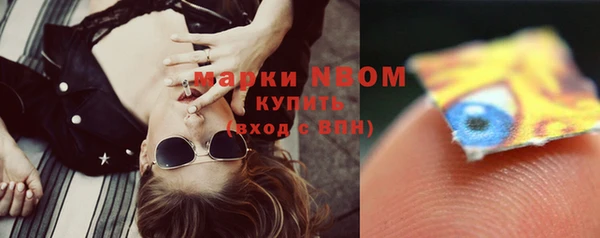 молекула духа Вязьма