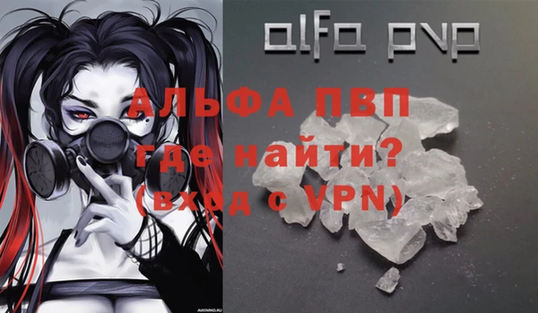 молекула духа Вязьма