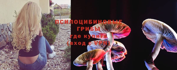 молекула духа Вязьма